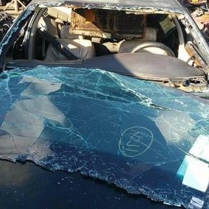 Meet your Posher, Maurice